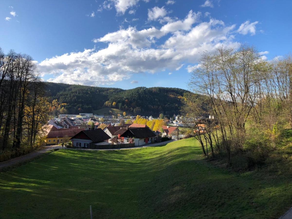 Haus Am Schloss 블레이부르크 외부 사진